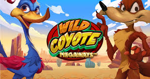 Wild Coyote